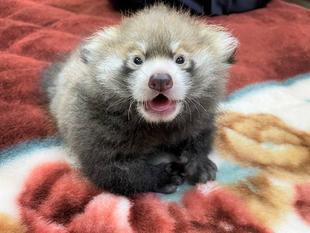 49日間、ありがとう