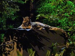 先月の誕生日に併せ( ^ω^)・・・