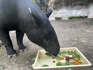 変わらず元気です。