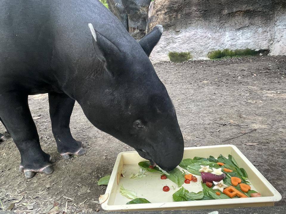 変わらず元気です。の写真