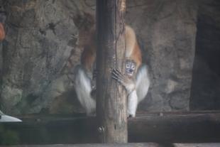 キキのひとりあそび☆*+。