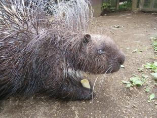 悲しいお知らせ。