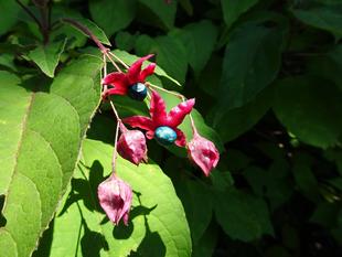 ～　赤青　赤紫　紫　～