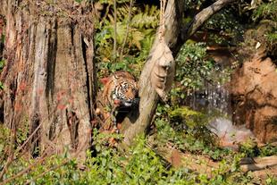 9/20～9/26は動物愛護週間！