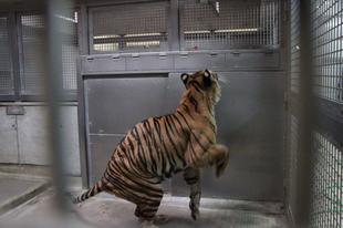 ちょっと動いてもらおうと思って・・・