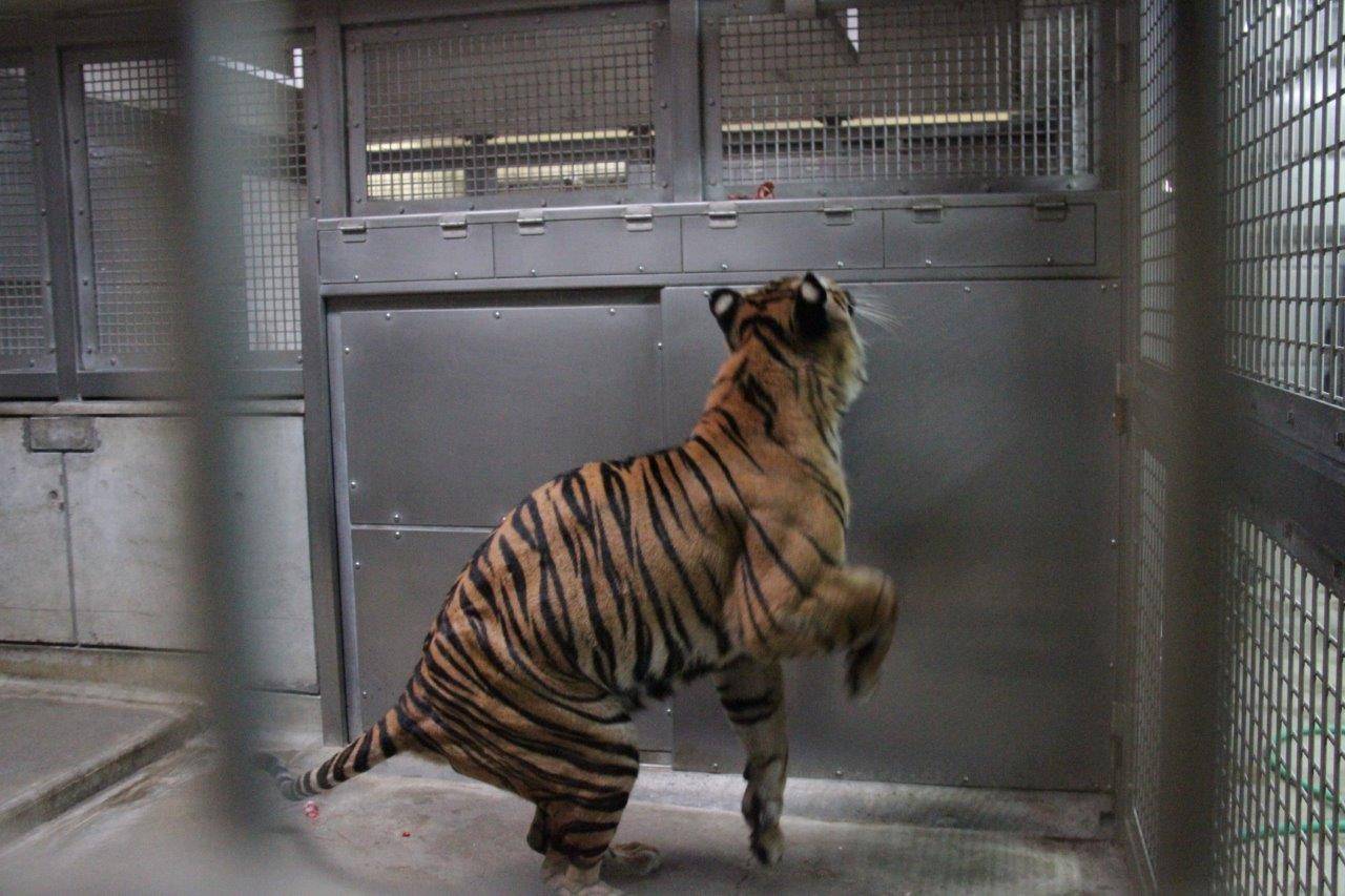ちょっと動いてもらおうと思って・・・の写真