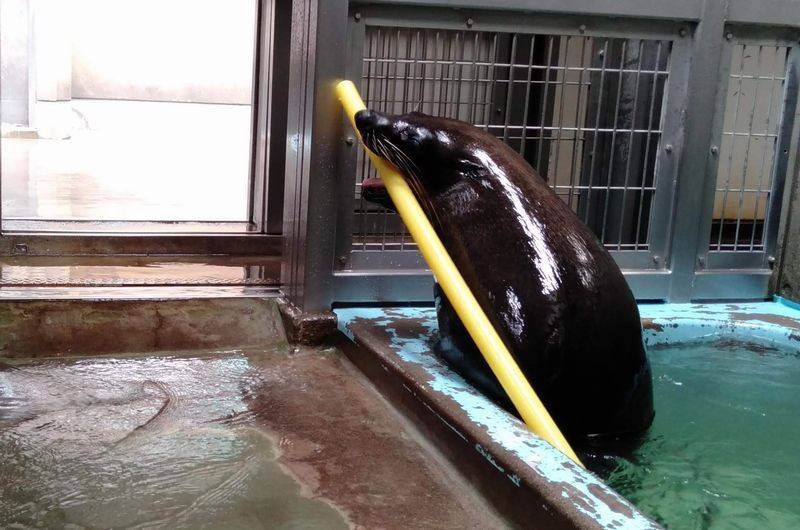 ハジメのすごいところ。の写真