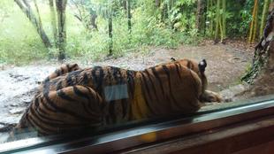 大雨は嫌だね・・・