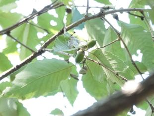 ズーラシアの初秋事情