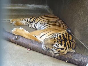 誰が教えた訳でもなく・・・