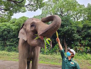 夏の終わりのご馳走