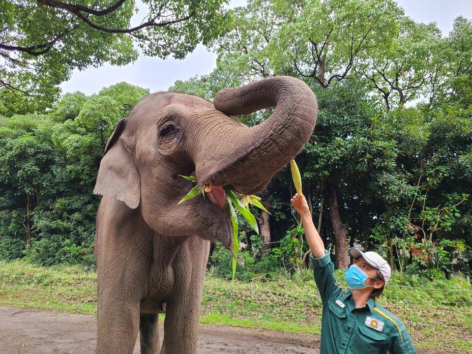 夏の終わりのご馳走の写真