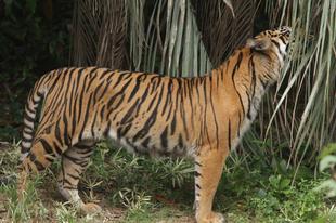 展示場でのルーチンワーク