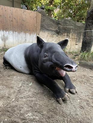 そろそろ撮影は終わりで!