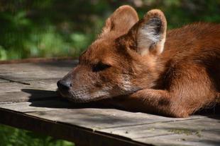 おやすみスポット