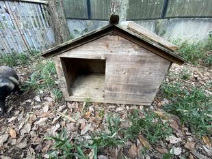 新・タヌキのおうち