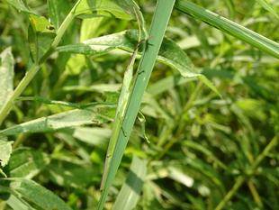 ～　かくれんぼ　～