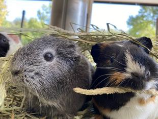 ある日常の一コマ（練習中）