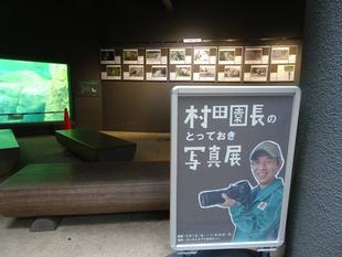 「村田園長のとっておき写真展」　ギャラリートークを行います！