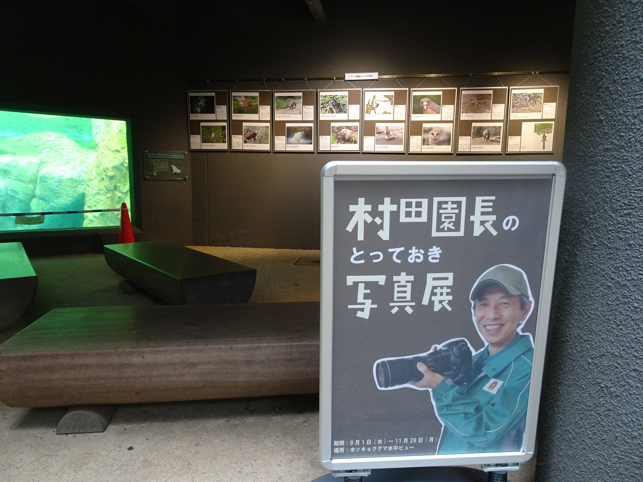 「村田園長のとっておき写真展」 ギャラリートークを行います!の写真