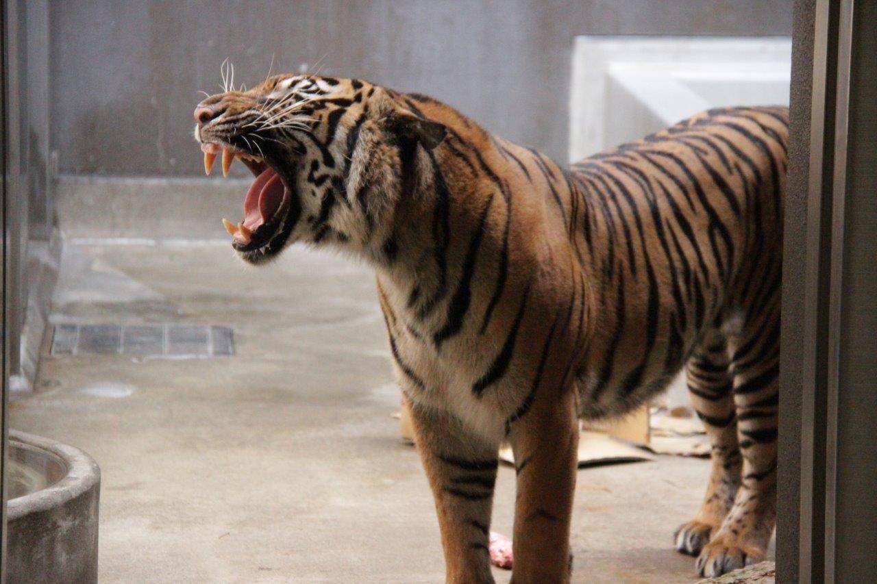 サブ運動場でのラウト・・・①の写真