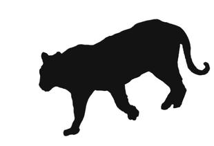 カボチャをもらうのはだ～れ？