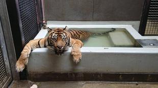 そろそろ見納め⁉