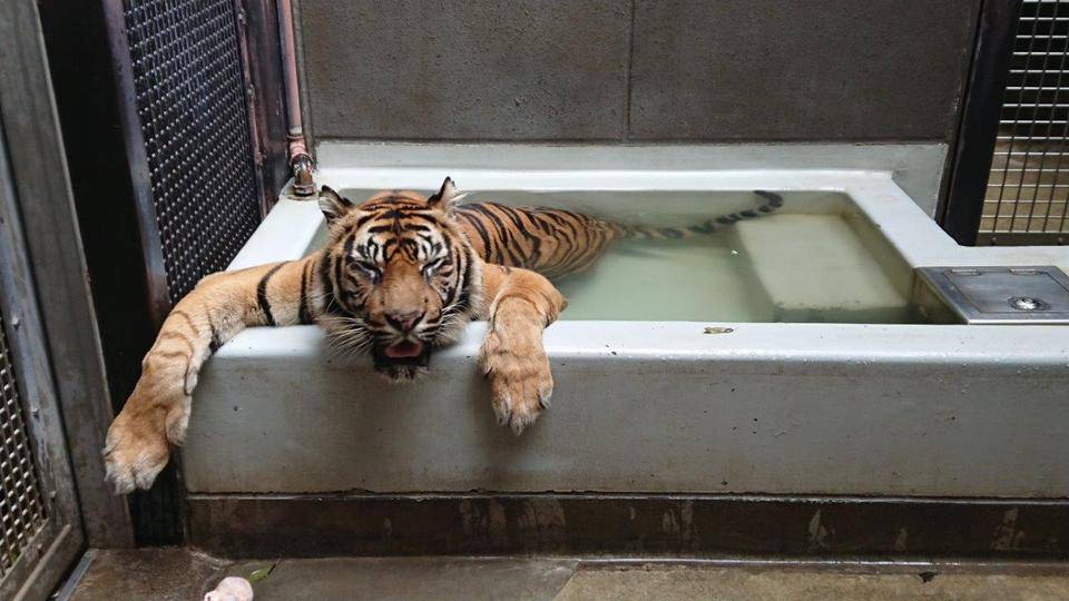 そろそろ見納め⁉の写真