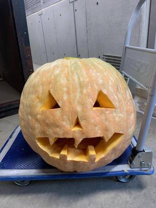 大盛況！！ハロウィン特別ガイドのご報告！