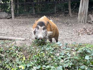 約2年ぶりでした!!