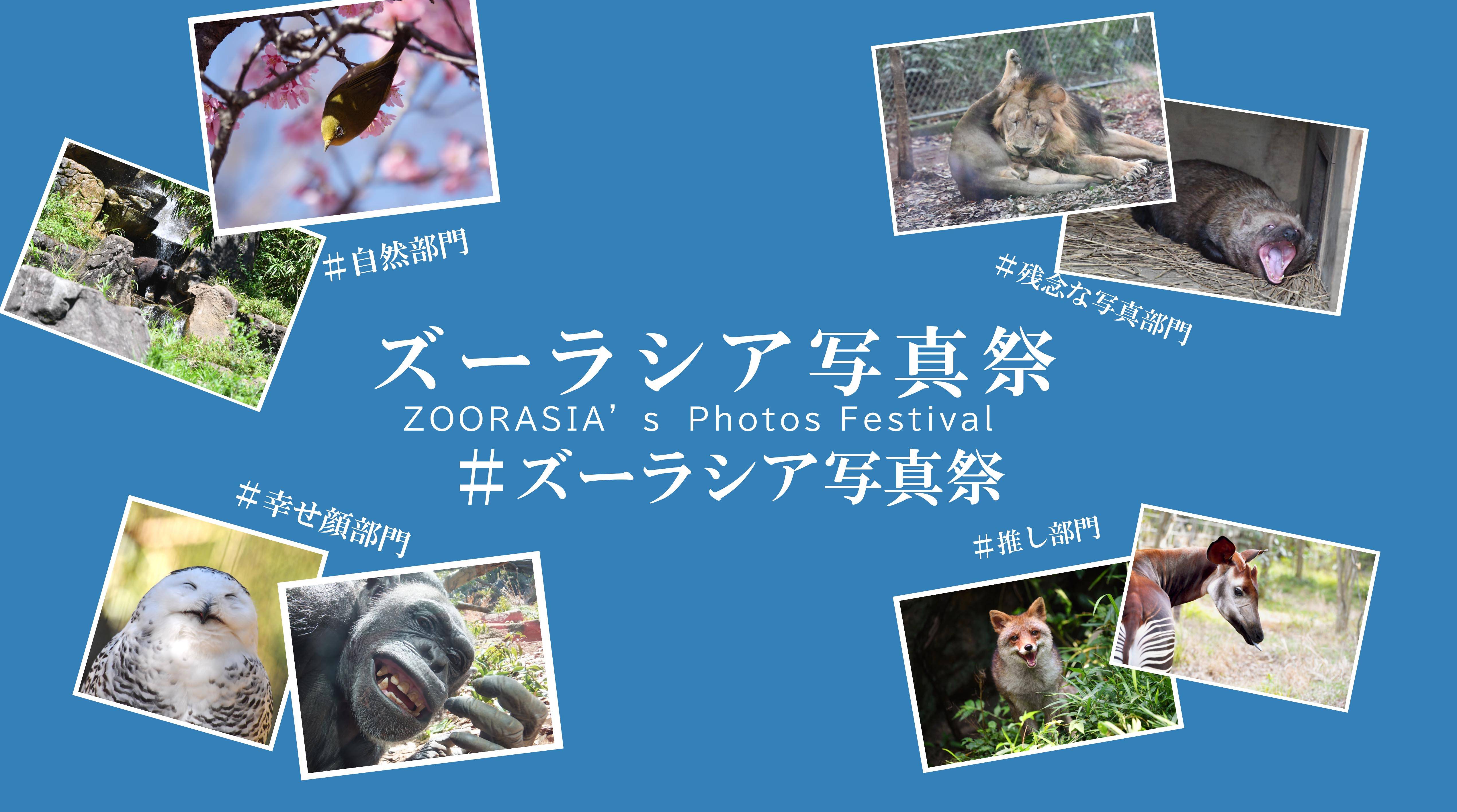 SNSで投稿しよう! #ズーラシア写真祭の写真