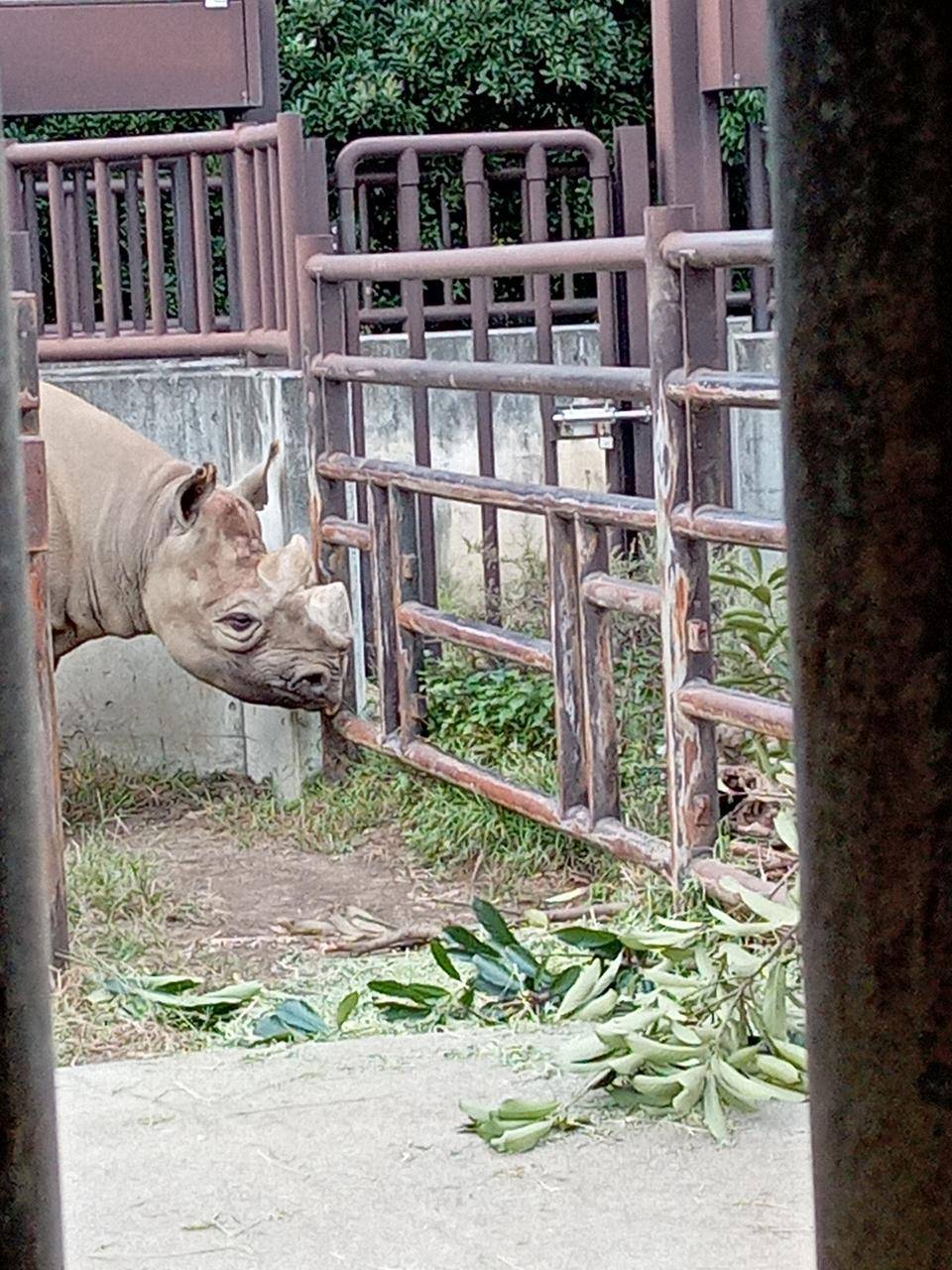 ツマミ食いの楽しみ♪の写真