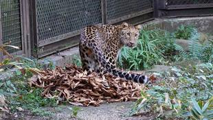 寝室でもごろごろ