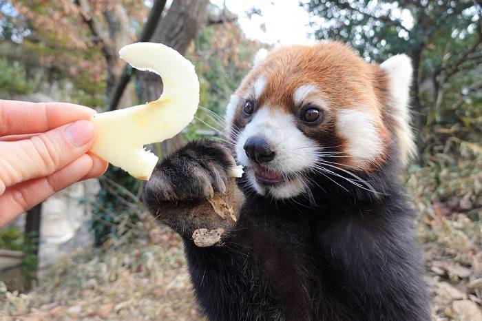 新年ということでの写真
