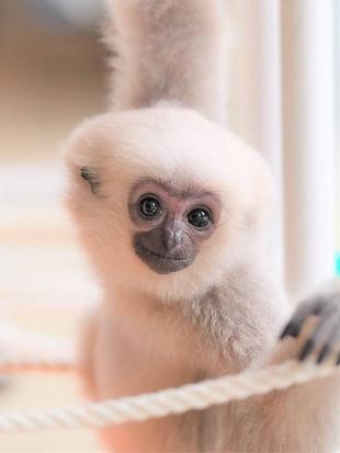 祝フォロワー１万人！