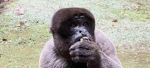 悲しいおしらせ