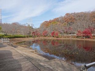 ズーラシアの極月事情