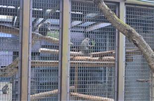 寝室も!リニューアルしました‼