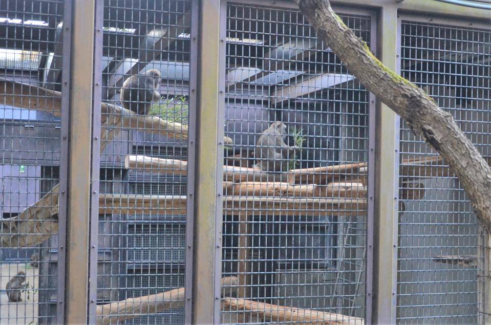 寝室も!リニューアルしました‼の写真