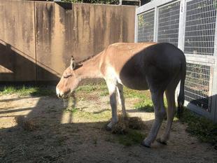 ミンミンの冬休み