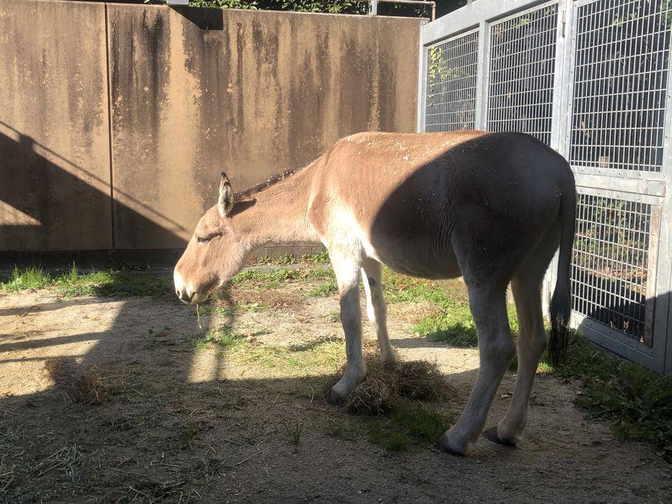 ミンミンの冬休みの写真