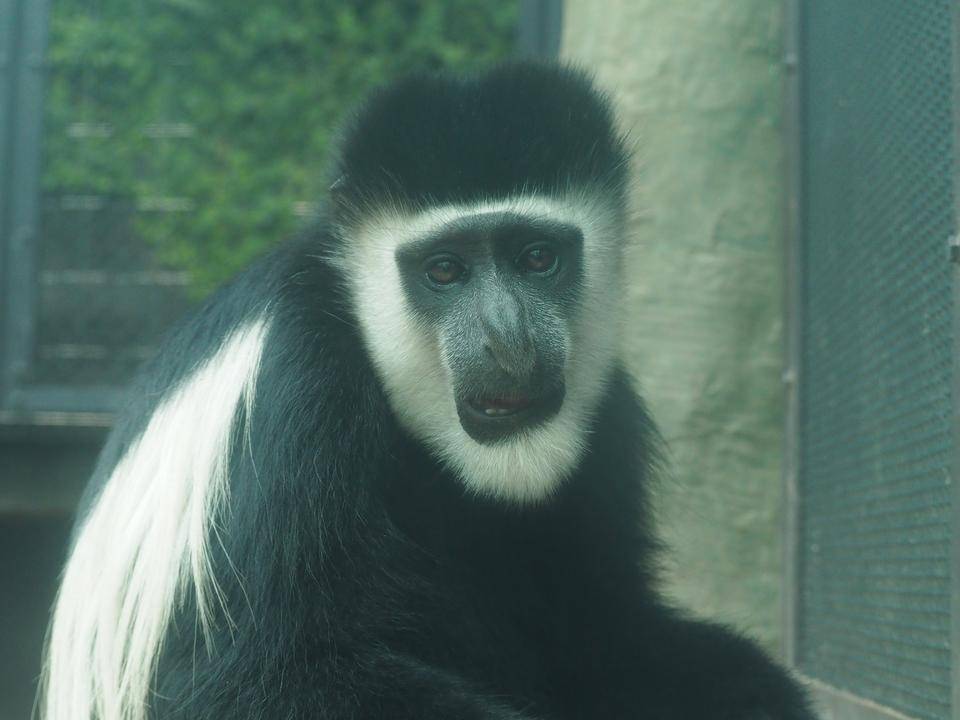 冬のごちそうとは?の写真