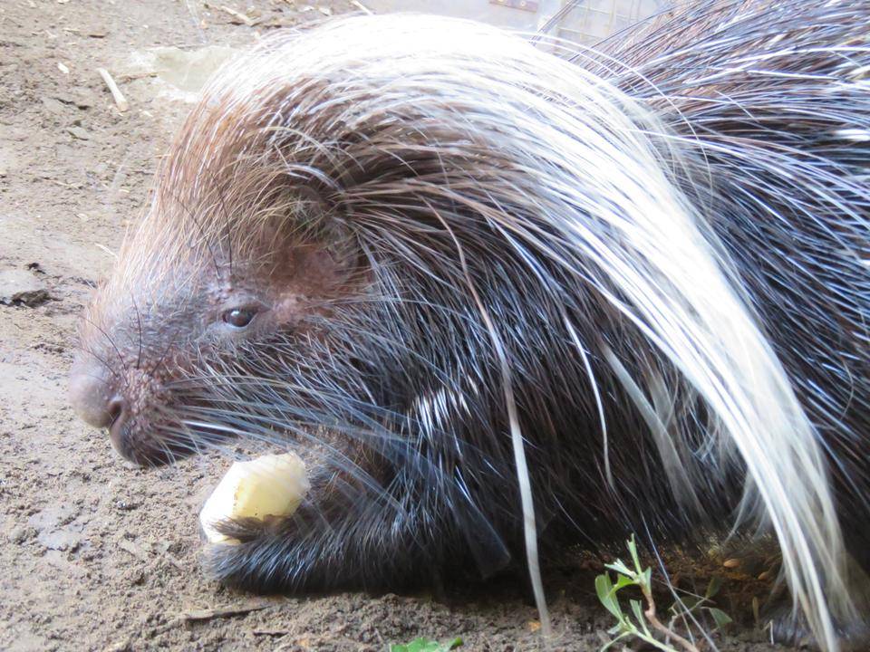 ネイロの冬の写真