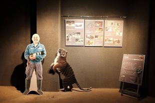 写真展「スマトラトラの飼育員は見た」の候補写真を紹介したい