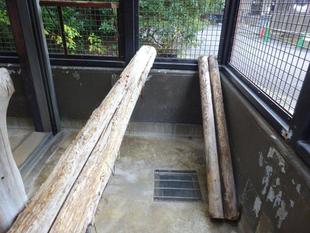 サブ運動場もリフォームしました