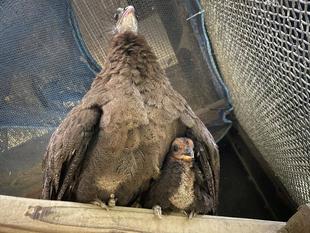 今年の干支は・・・