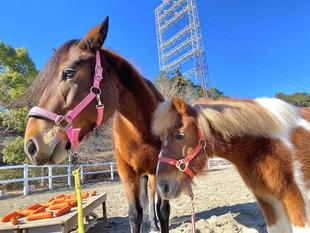新年初日のひとコマ