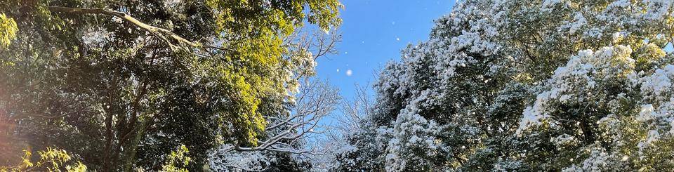 ズーラシアの雪景色~裏側ver~の写真