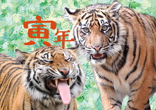 休園日のお仕事〚お正月〛