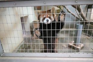 キクとまめたろう①